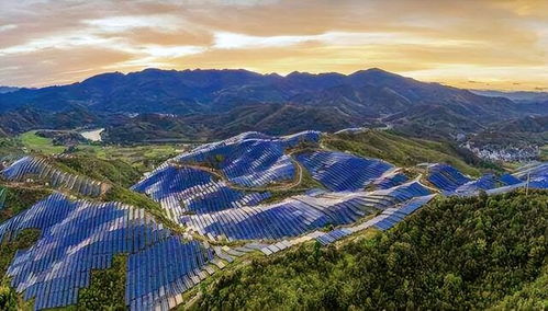 荒漠奇緣 從電廠藍圖到意外牧場