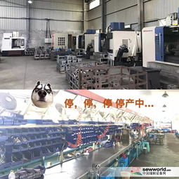 環保風暴下小工廠的生存困境 價格優勢不再，轉型之路何在？